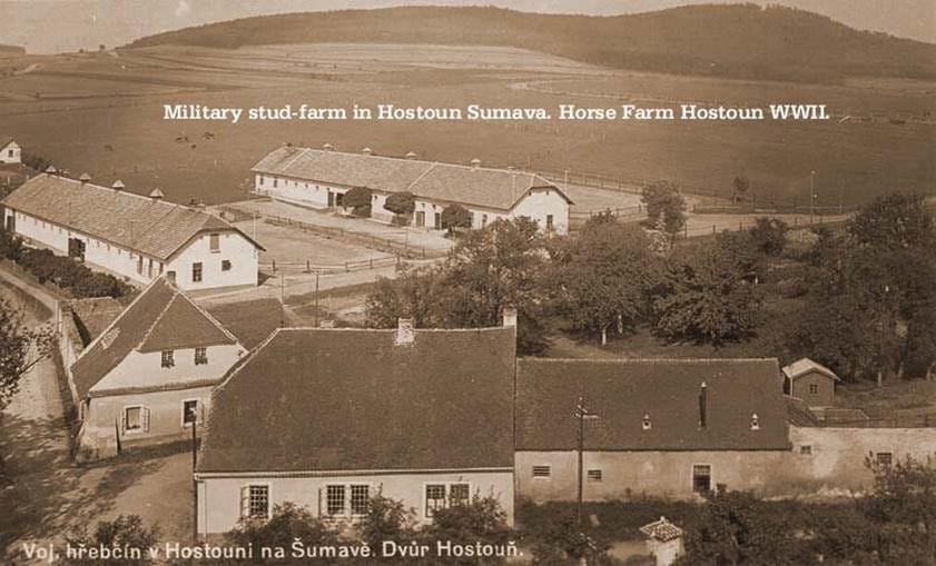 The military stud-farm in Hostau, Czechoslovakia during the 1940s.