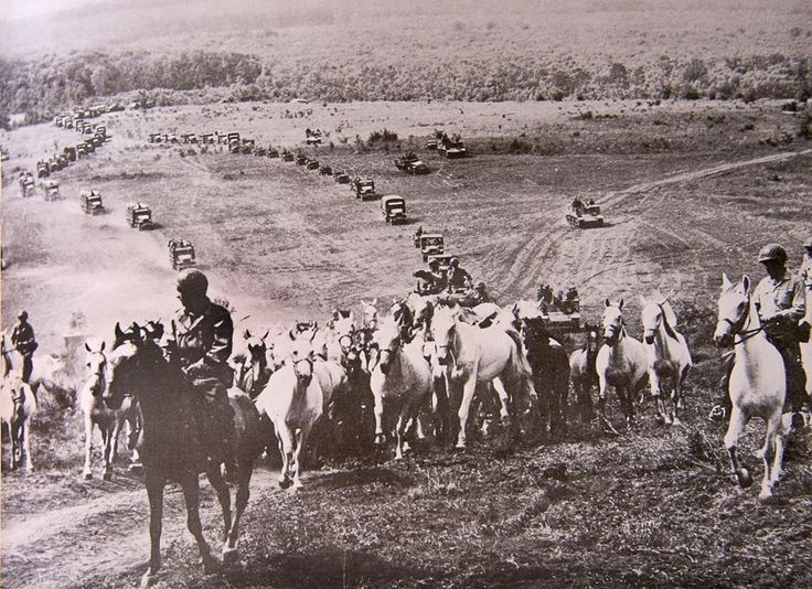 Task Force Andrew guides the valuable Lippizaner breed of horses away from Hostau, Czechoslovakia. (United States Army)